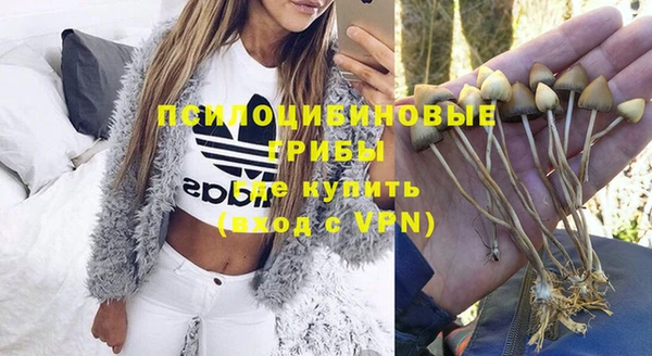 эйфоретик Абаза