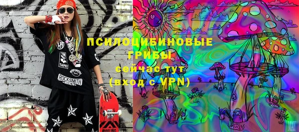 эйфоретик Алексин