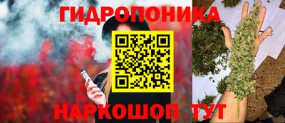 Альфа ПВП Свободный