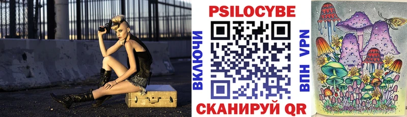 Псилоцибиновые грибы Psilocybe  Стрежевой 