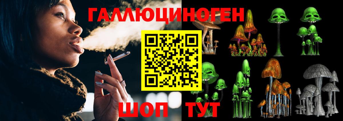 Галлюциногенные грибы Psilocybe  Вход с VPN  Стрежевой  Галлюциногенные грибы ЛСД 